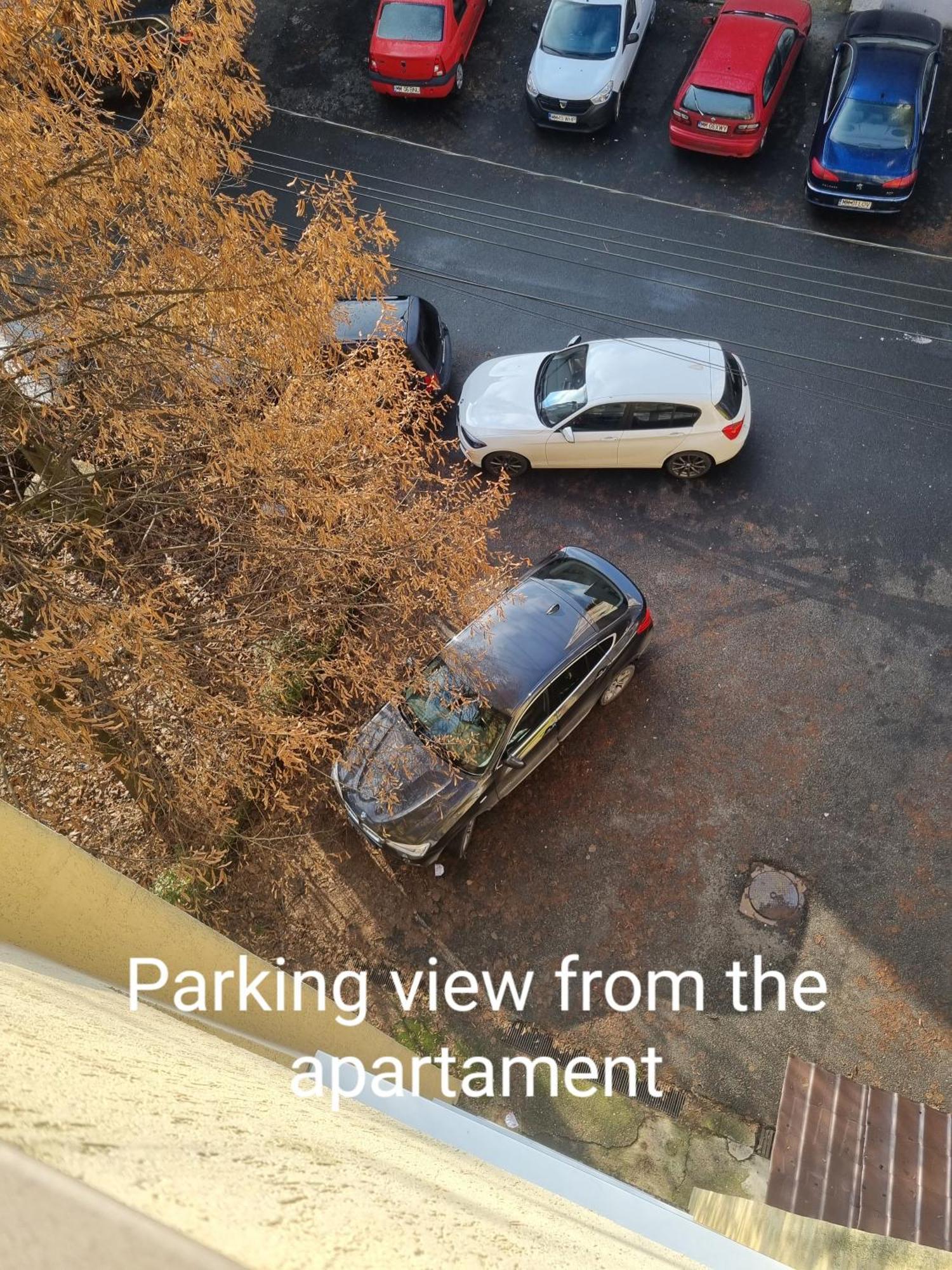 Nice & Relaxing Central Apartment Baia Mare Exterior foto