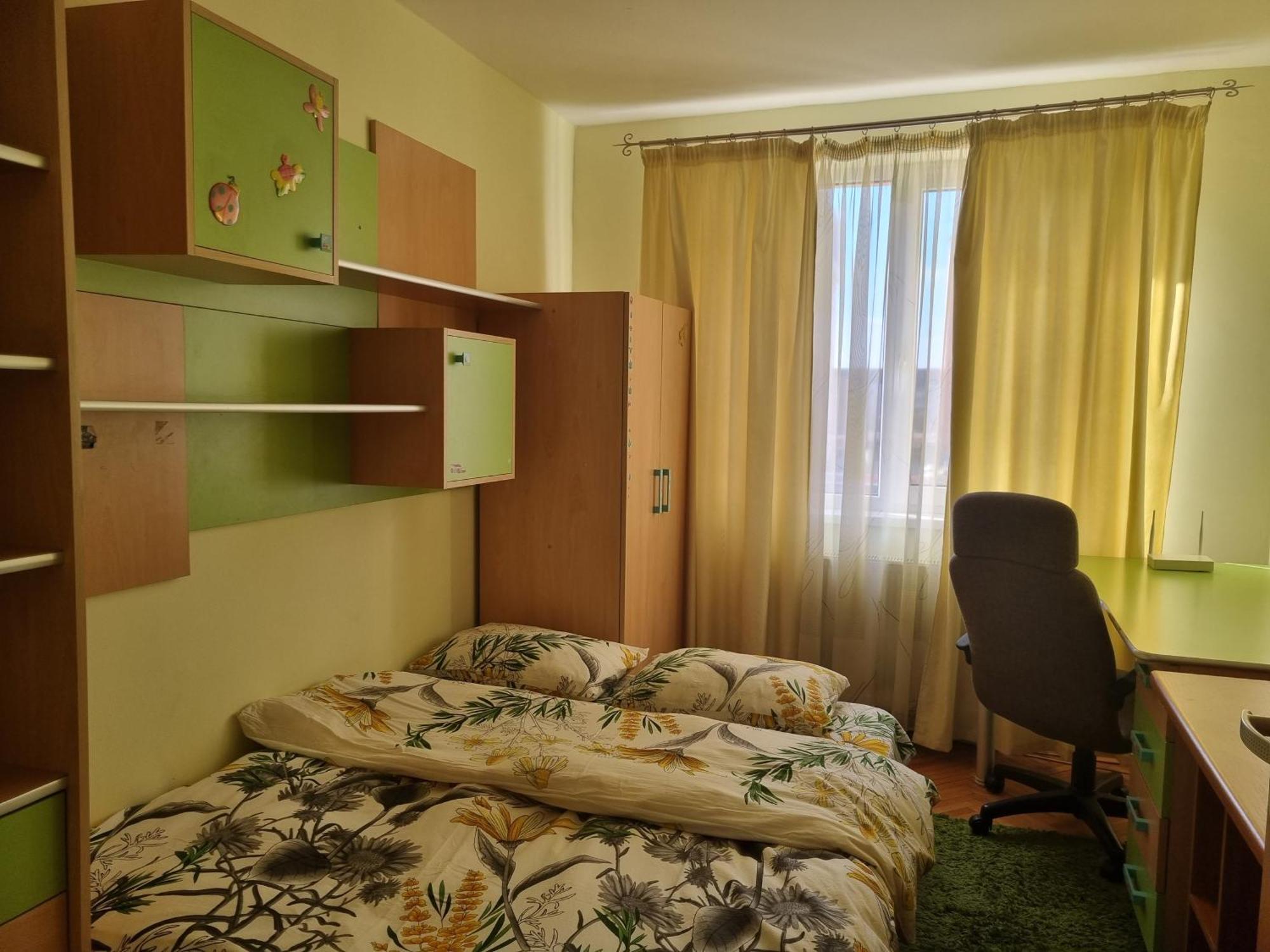 Nice & Relaxing Central Apartment Baia Mare Exterior foto
